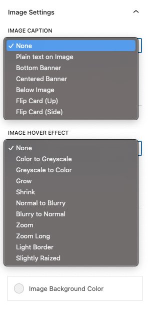 Advanced Image Gallery Image settings